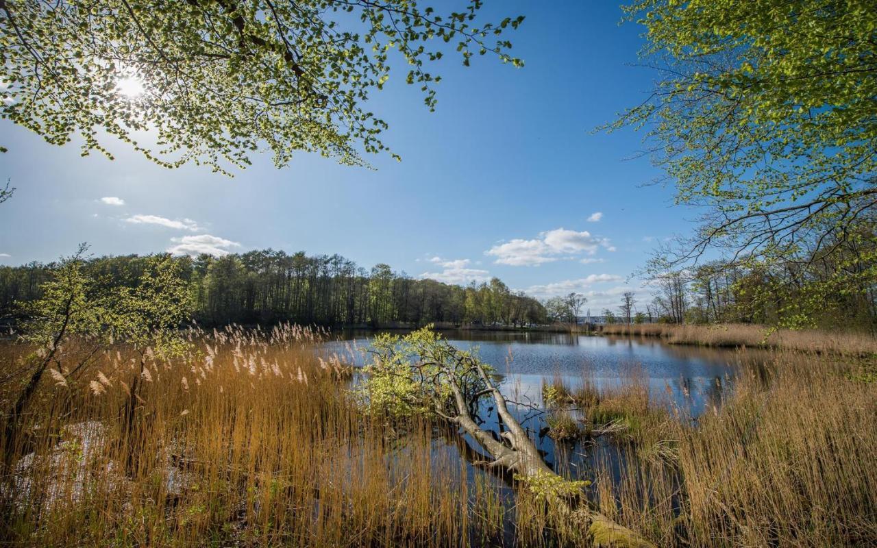 Ferienwohnung Viola Glücksburg Exteriér fotografie