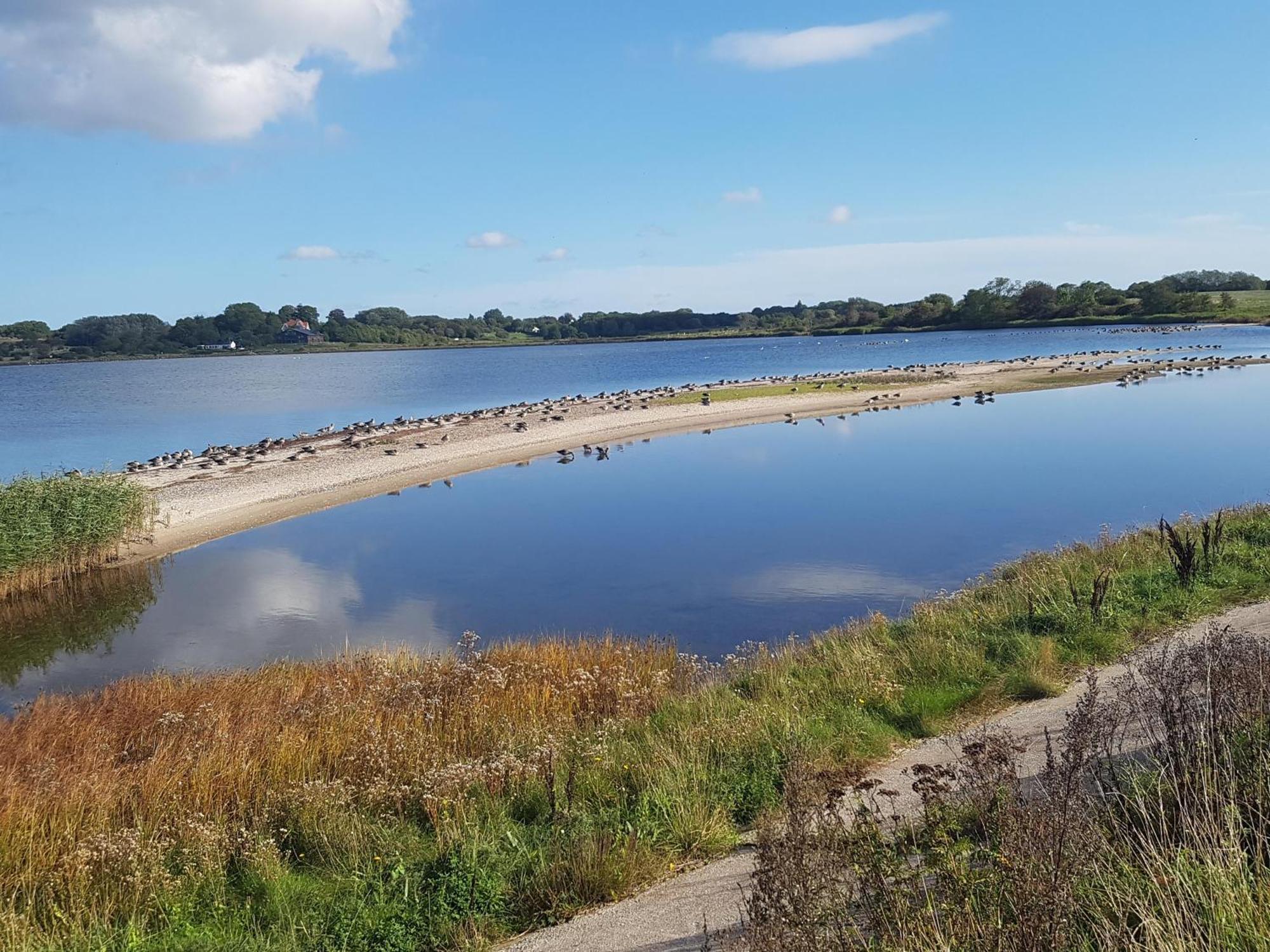 Ferienwohnung Viola Glücksburg Exteriér fotografie